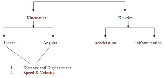 Linear Kinematics